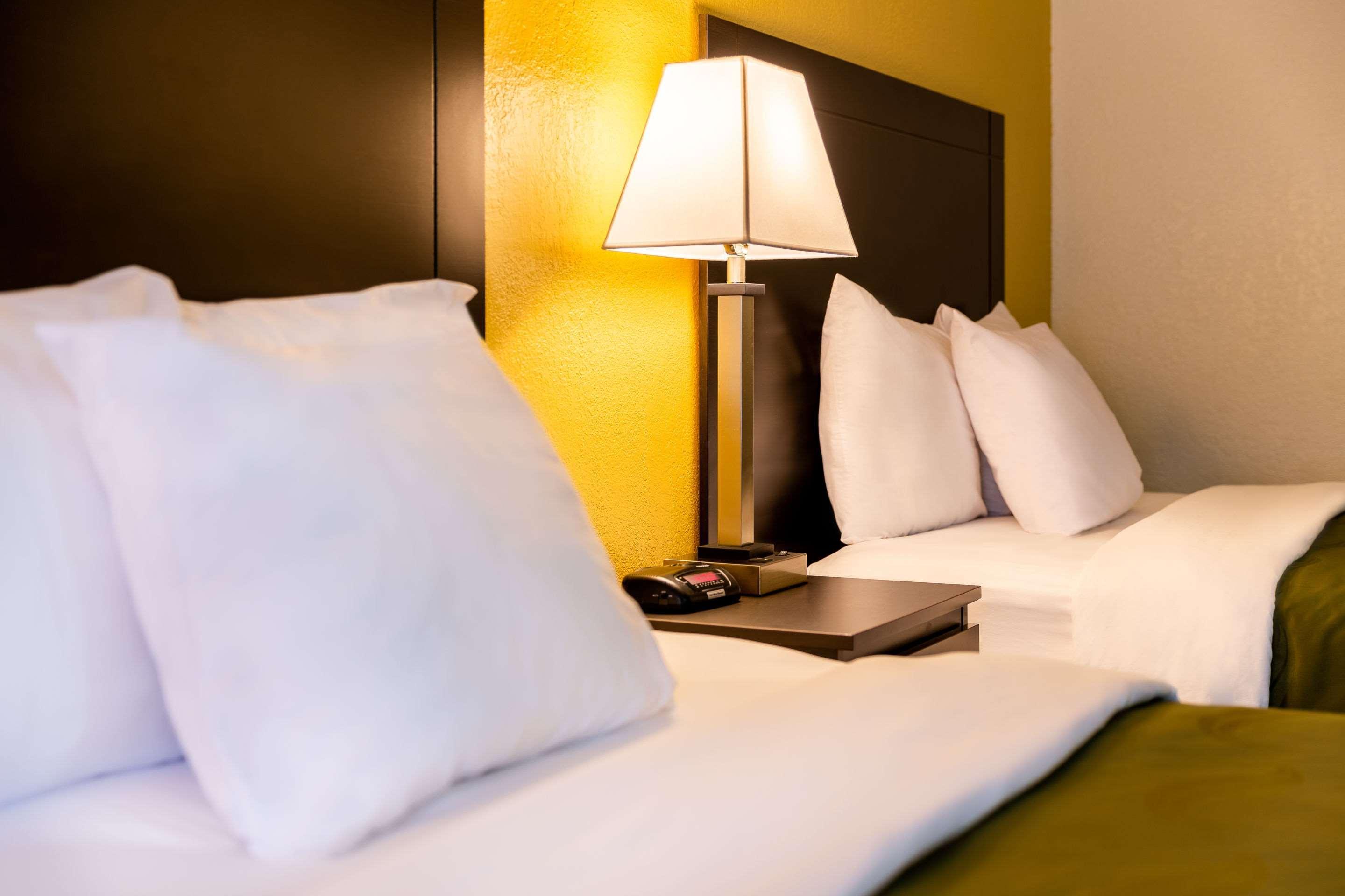Quality Inn At Arlington Highlands Buitenkant foto